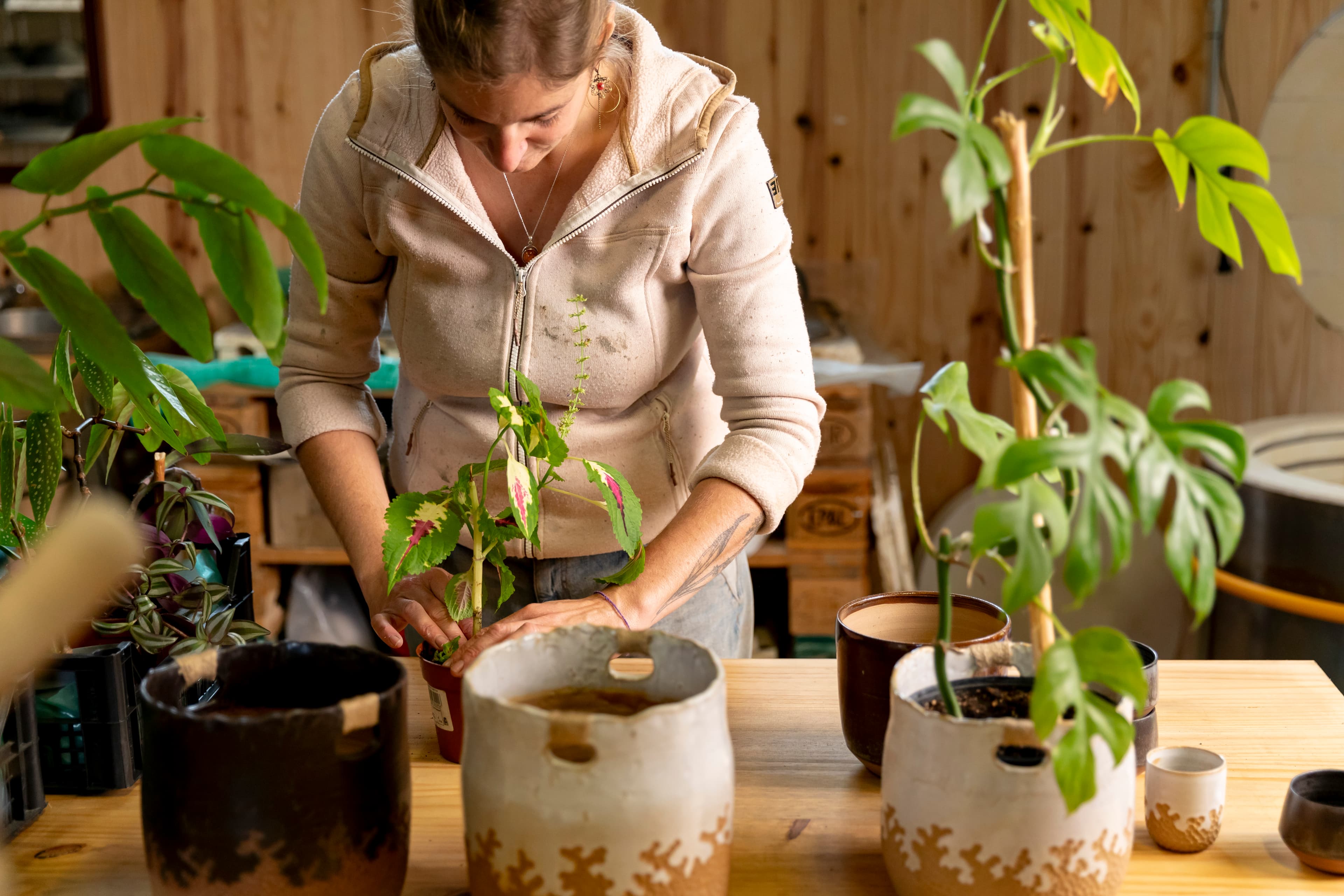 pots